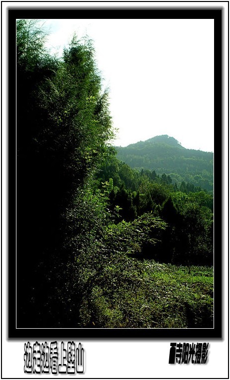 PICT0761_conew2.jpg