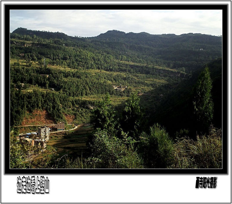 PICT0770_conew3.jpg