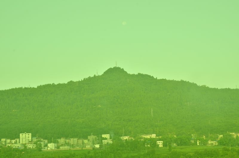 Ƭ 011.jpg