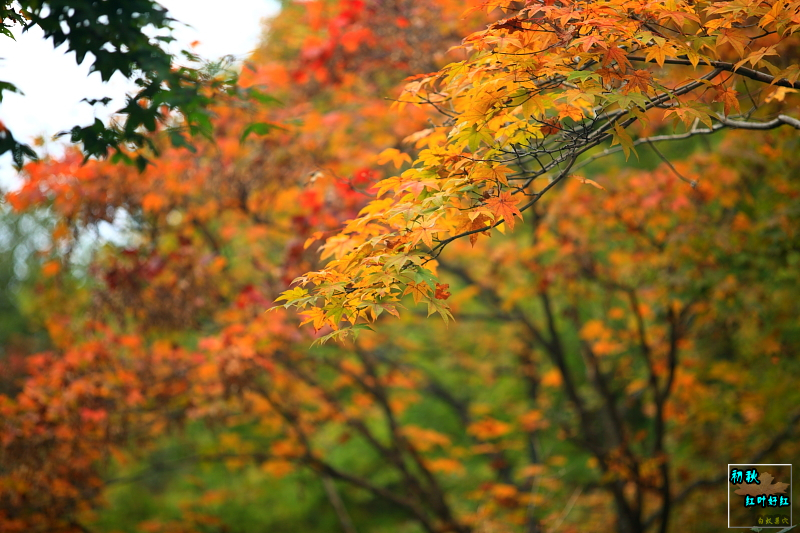 213507cpbwpkkzqcqphsdq.jpg