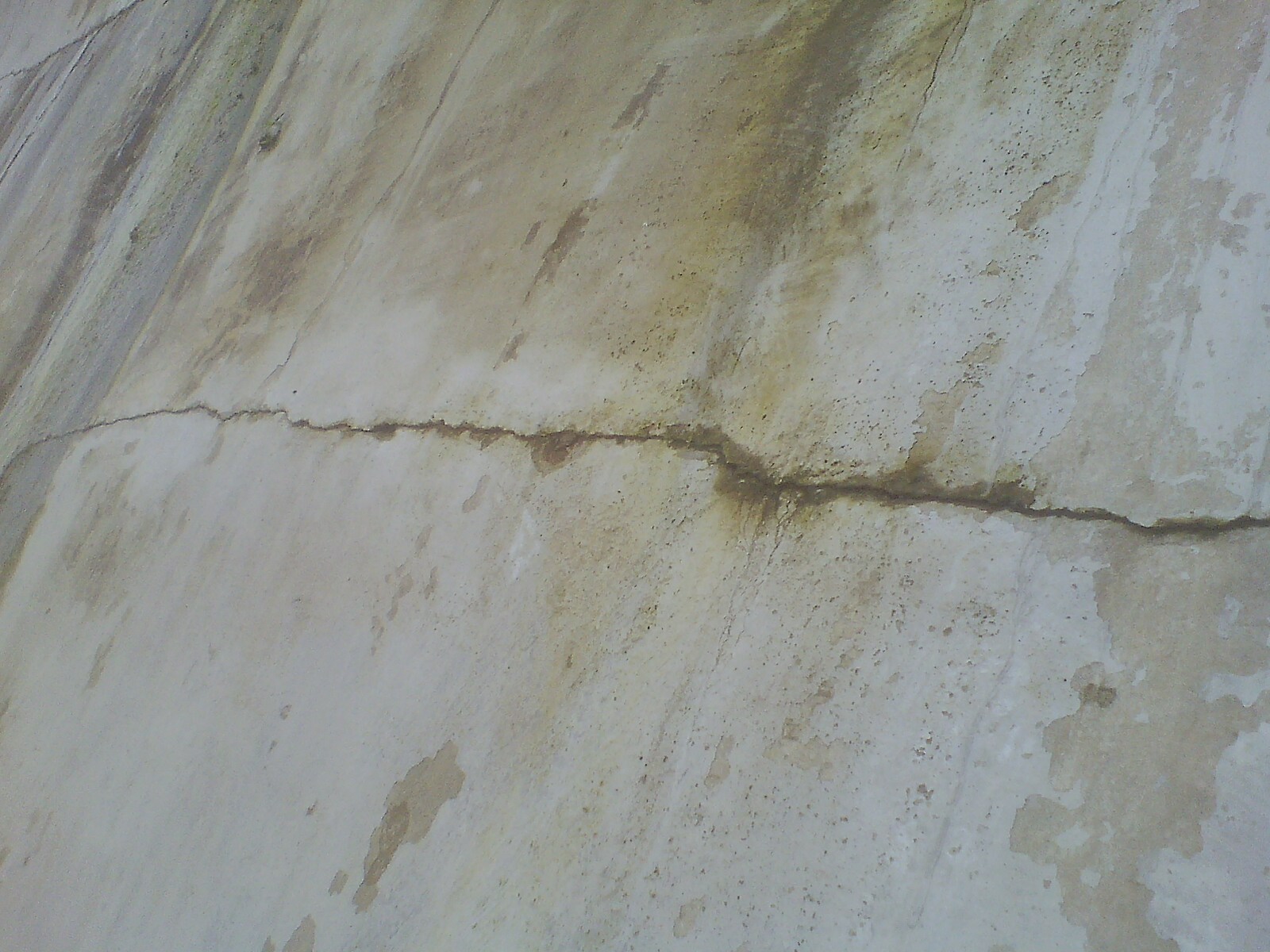 IMG1007122901.jpg