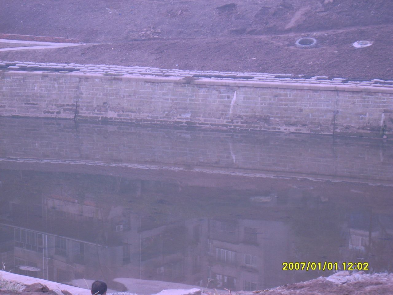 SL371073.jpg