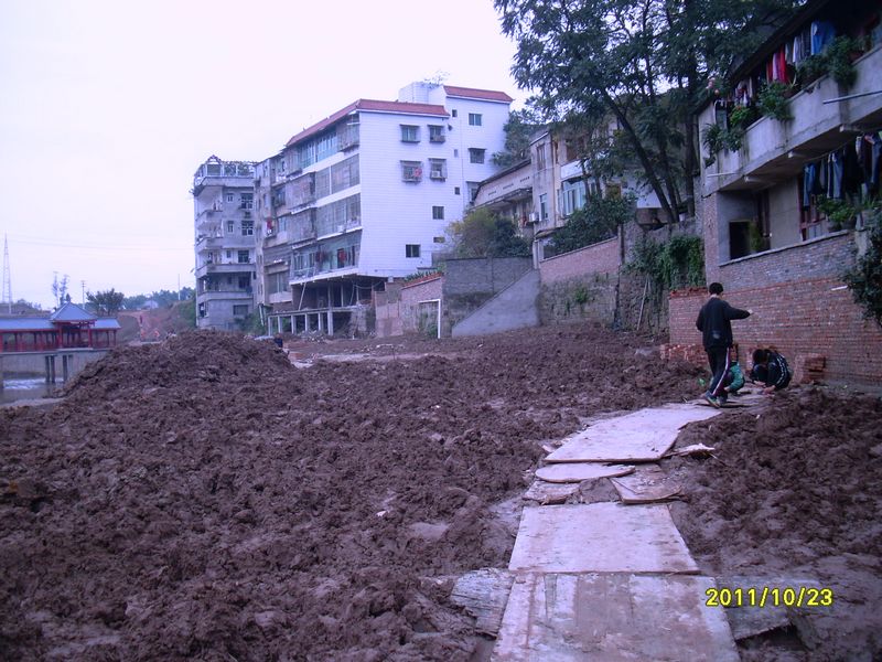 SL371114.jpg