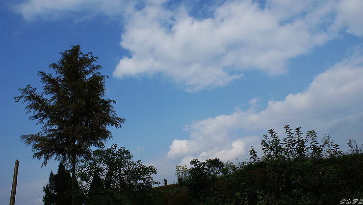 DSC00130.jpg