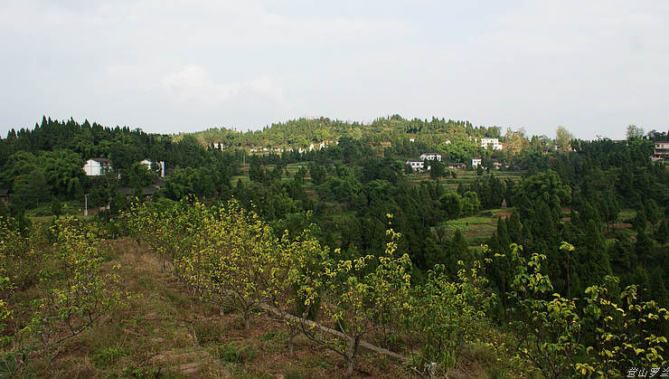 DSC00140.jpg