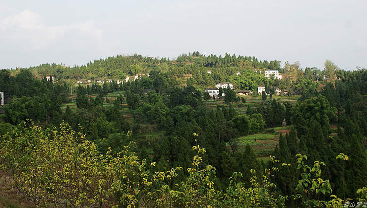 DSC00143.jpg