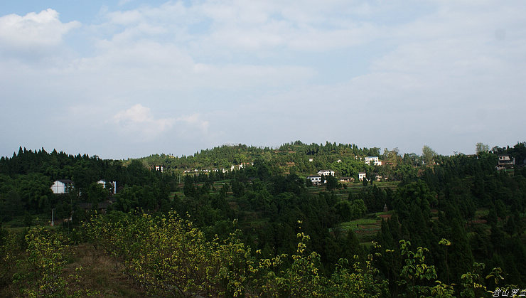 DSC00144.jpg