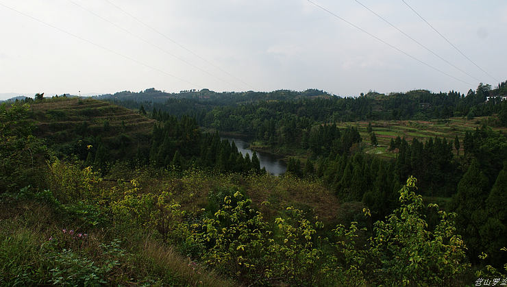 DSC00147.jpg