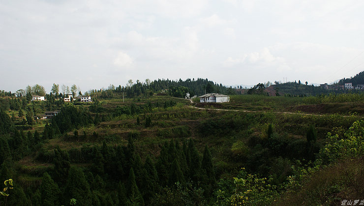 DSC00152.jpg