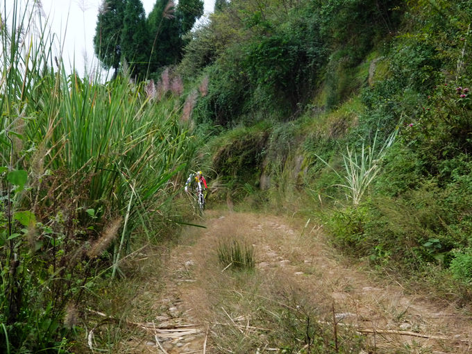 P1120010.jpg