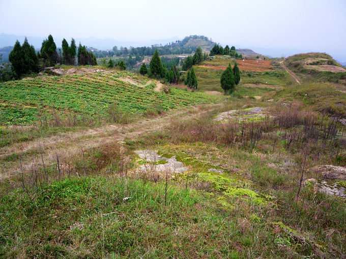 P1120056.jpg