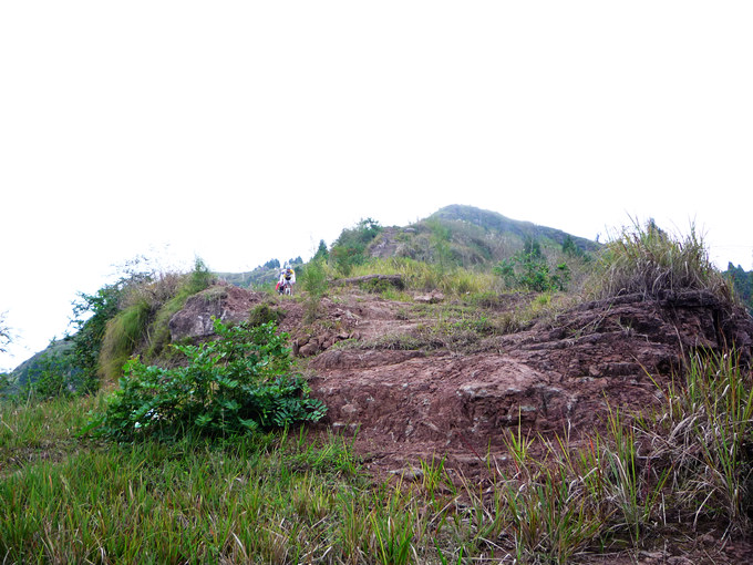 P1120123.jpg