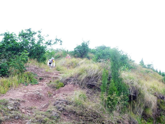P1120135.jpg