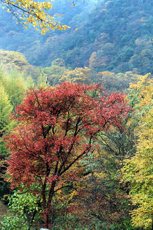 _MG_3640.jpg