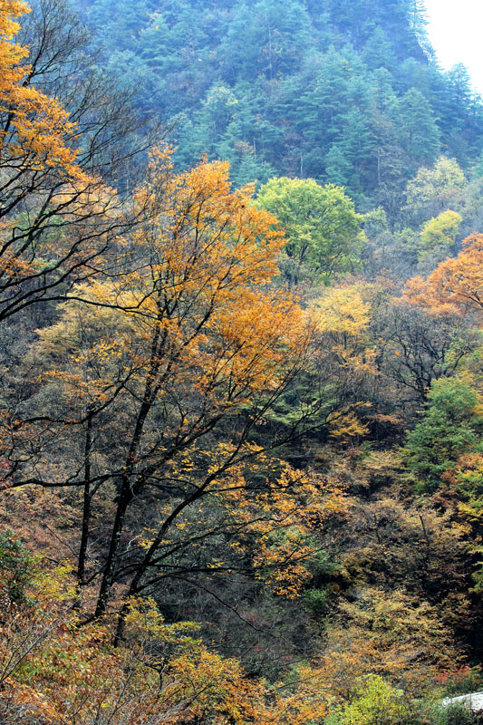 _MG_3677.jpg