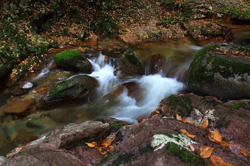 _MG_3729.jpg