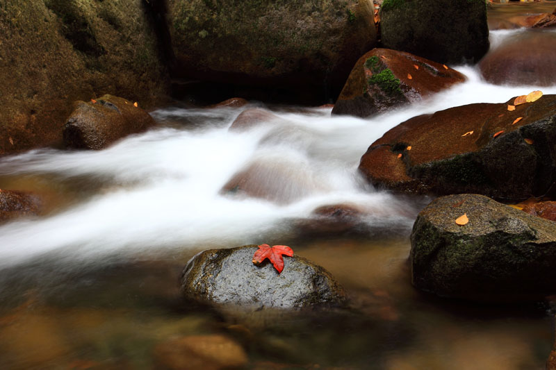 _MG_3775.jpg