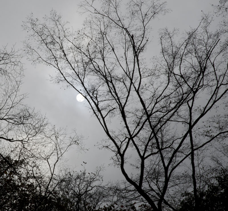 DSC_3805.jpg