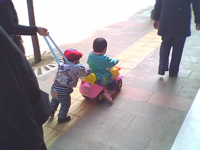 IMG2369A.jpg