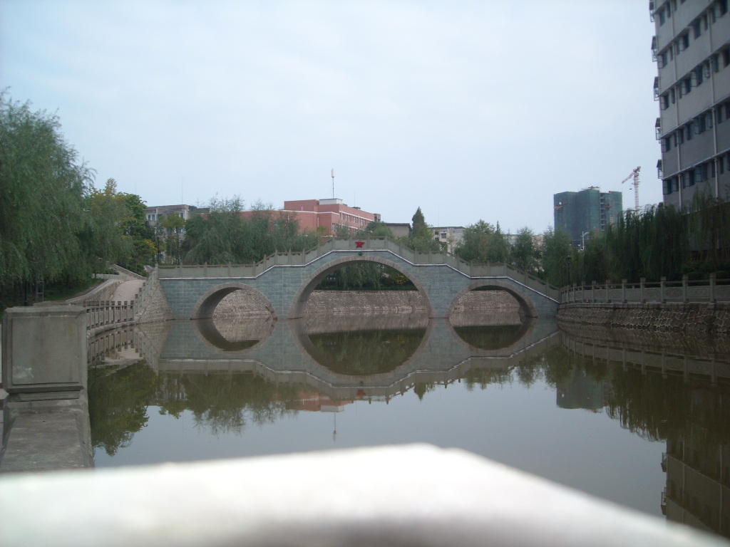 DSCN0503.jpg