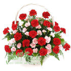 u=1708547972,412976675&fm=4&gp=0.jpg