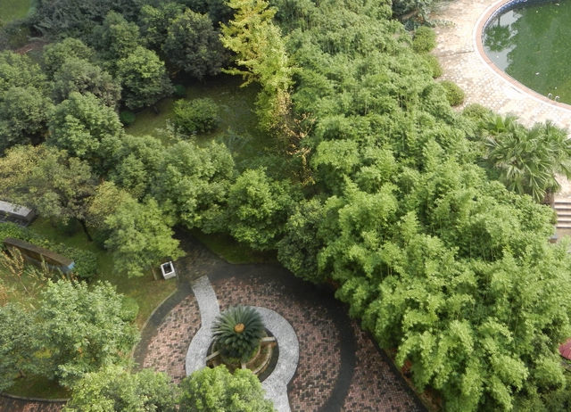 DSCN5057.JPG