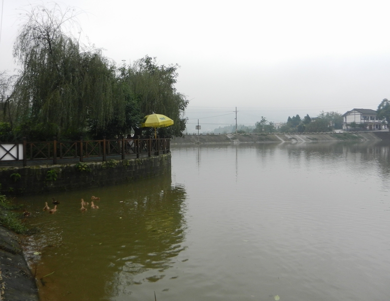 DSCN5091.JPG