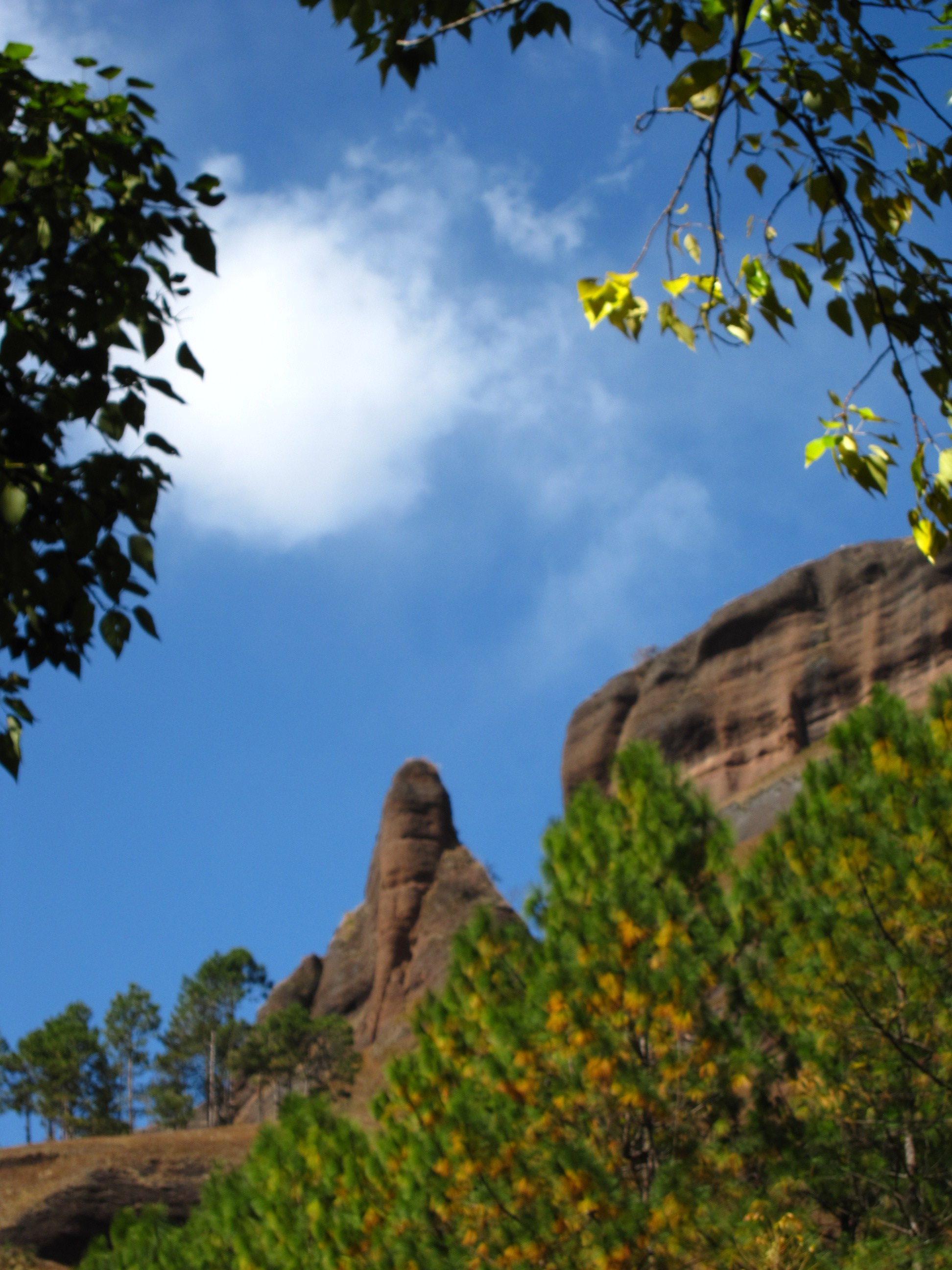 2011 11 6 ﾰ 070.jpg