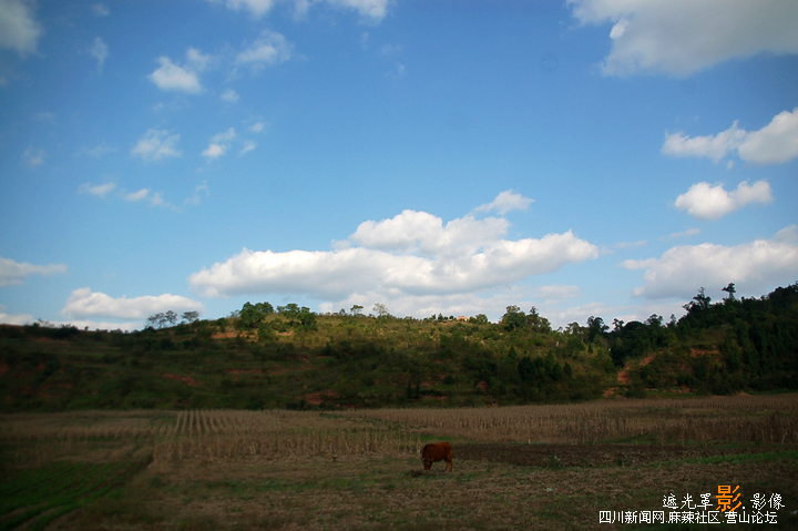 DSC_9499.JPG