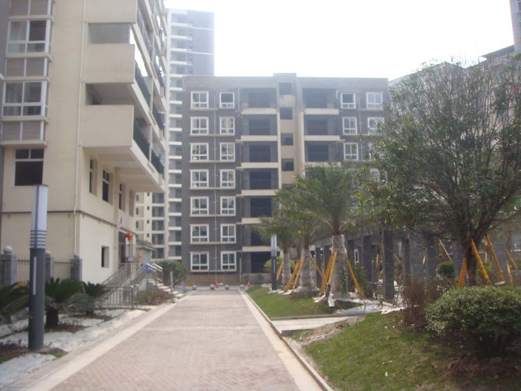 DSC05456.JPG