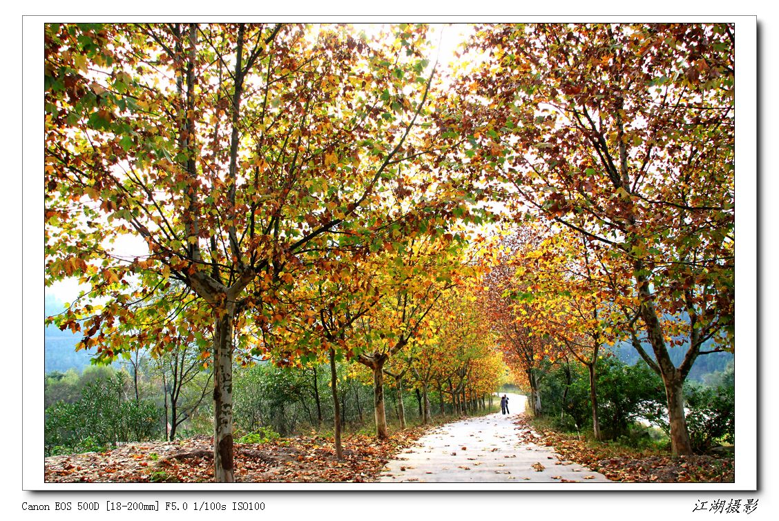 Ƭ 061.jpg