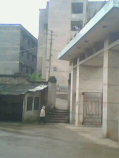 IMG2871A.jpg