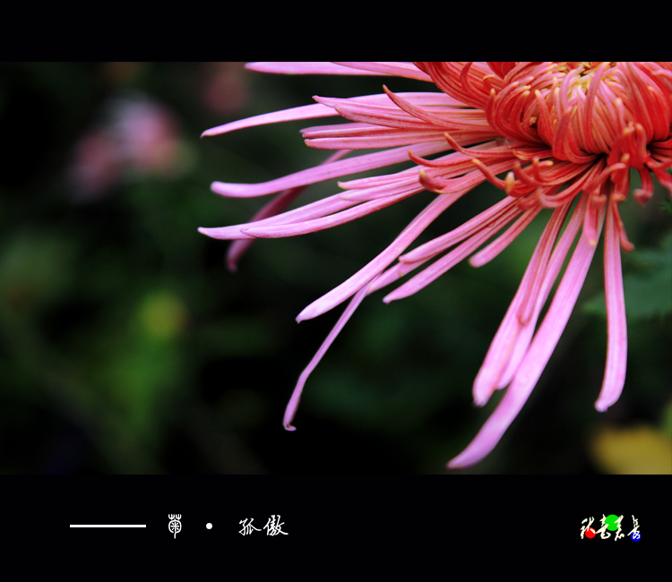 Ƭ 017.jpg