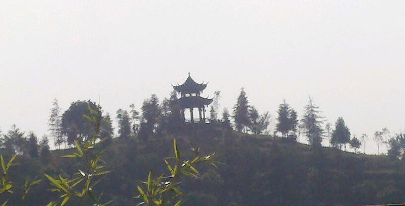 2011-11-13_10-54-31_562-2.jpg