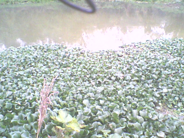 IMG0409A.jpg