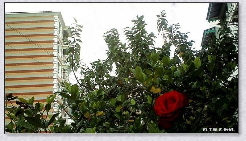 PICT0025_conew1.jpg