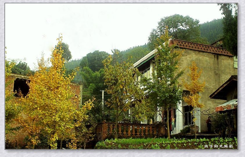 PICT0028_conew1.jpg