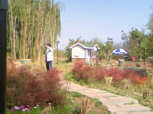 20111120B001.jpg