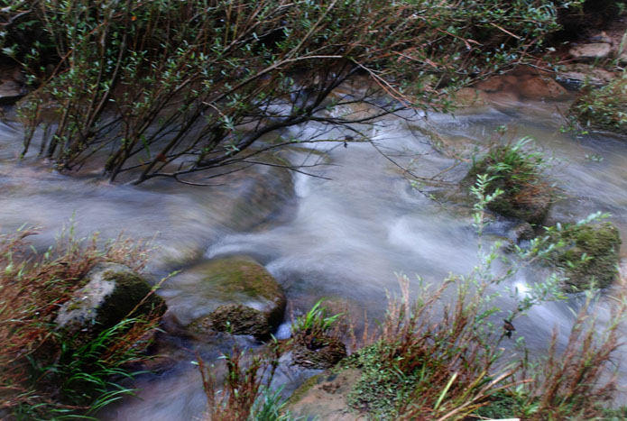 DSC_0007.jpg
