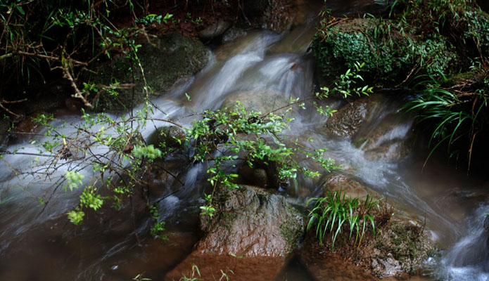DSC_0050.jpg