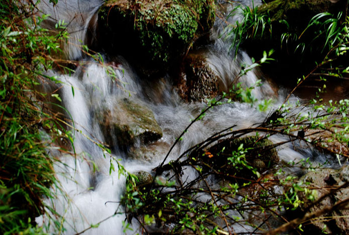 DSC_0064.jpg