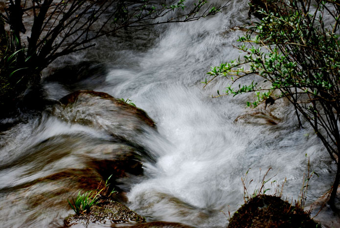 DSC_0096.jpg