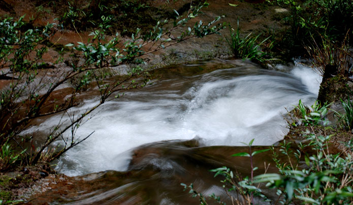 DSC_0100.jpg