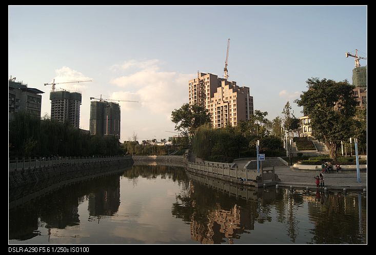 2011-11015.jpg