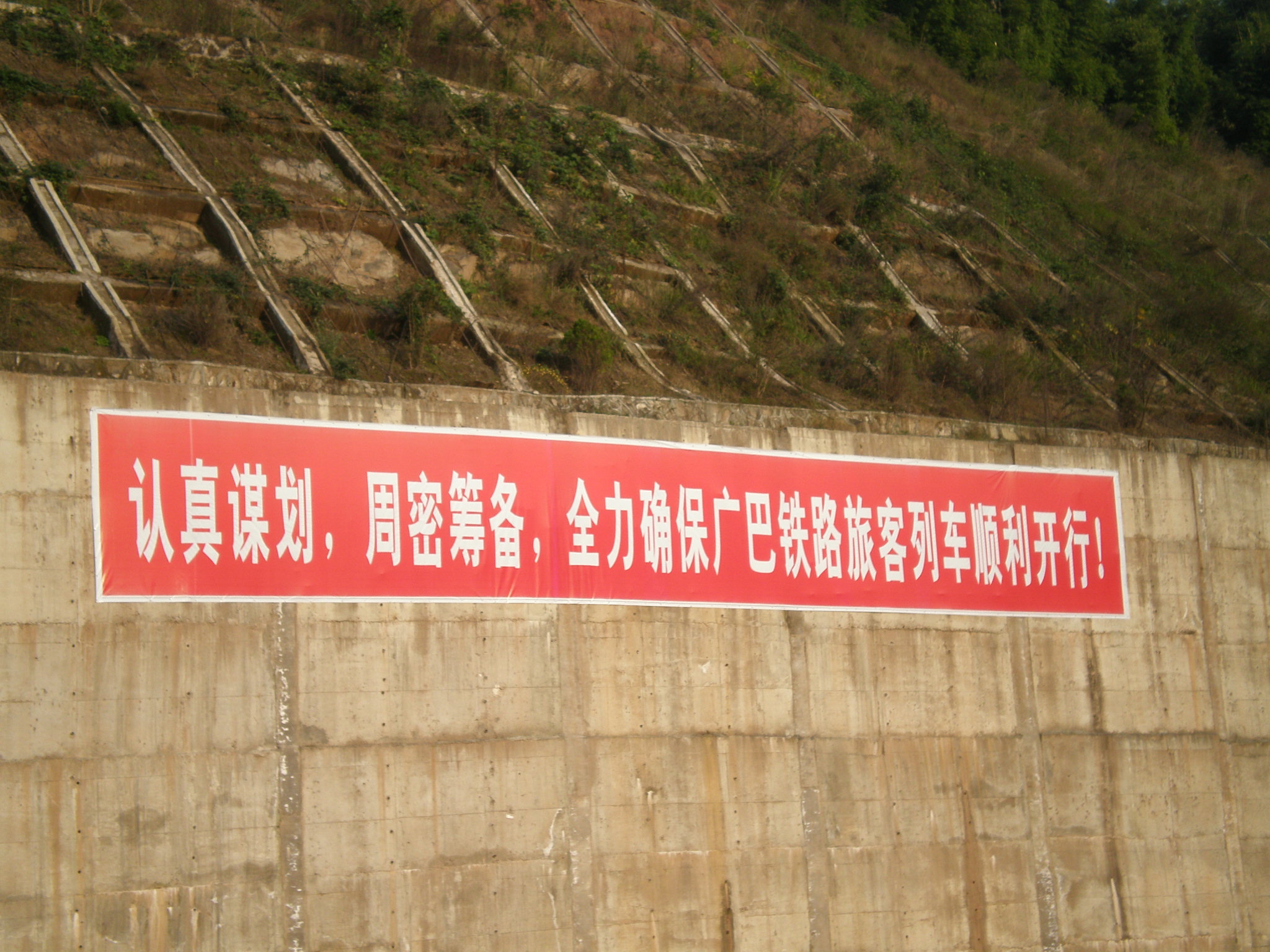 л 008.jpg