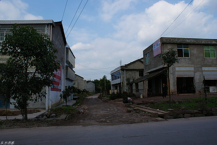 DSC00793.jpg