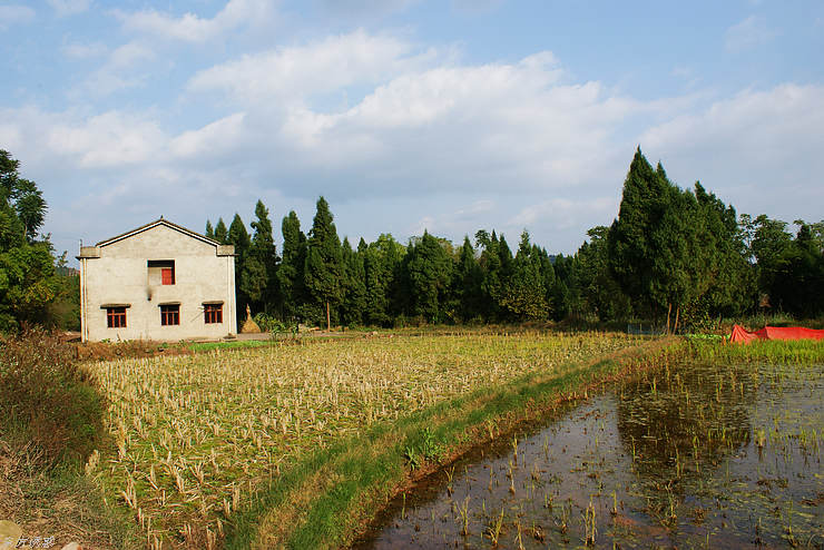 DSC00827.jpg