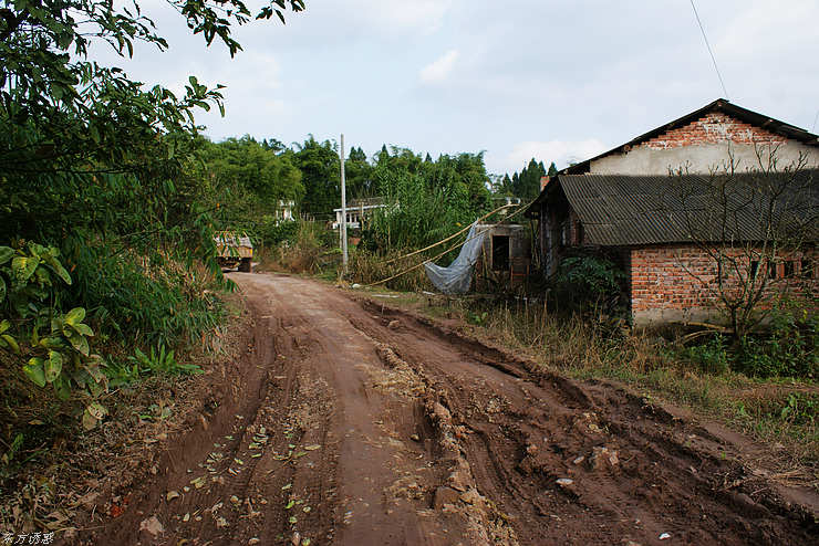 DSC00847.jpg