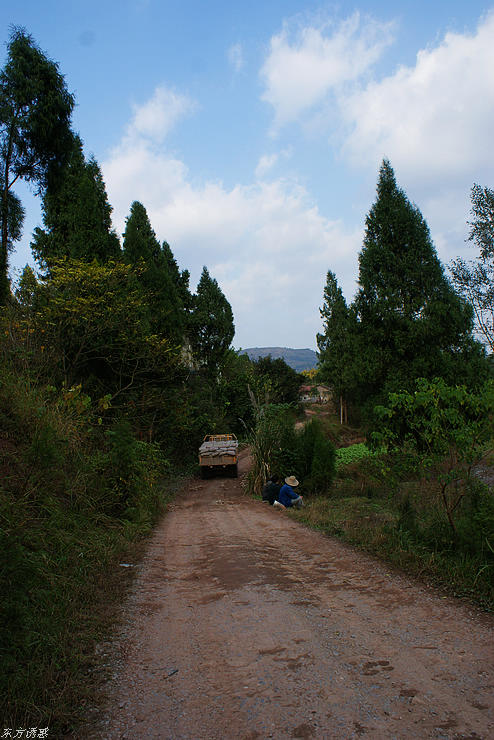 DSC00850.jpg