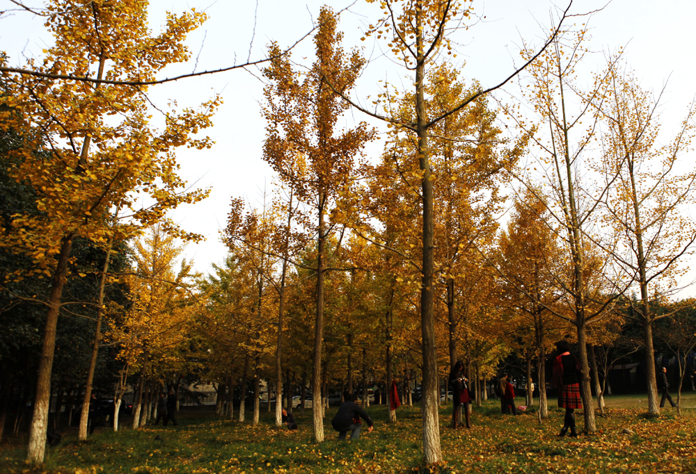 _MG_3490.jpg